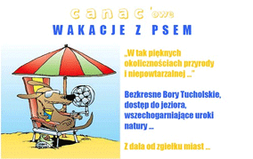 wakacje z psem